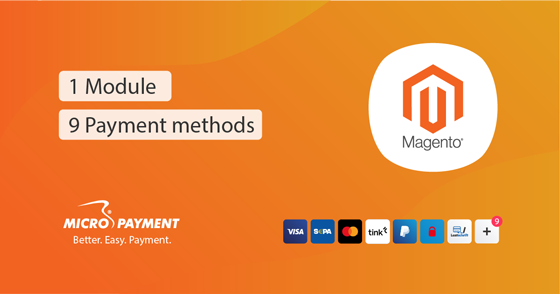 magento Extension für Online-Payment